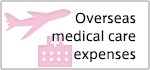 Overseas medical care expenses