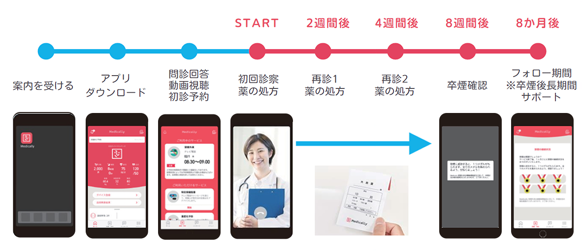 レッサーパンダ